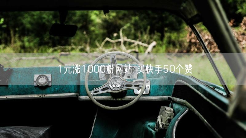 1元涨1000粉网站 买快手50个赞