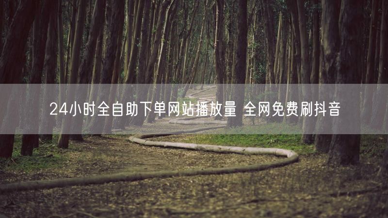 24小时全自助下单网站播放量 全网免费刷抖音