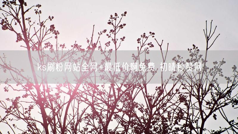 ks刷粉网站全网+最低价啊免费 初晴秒赞网