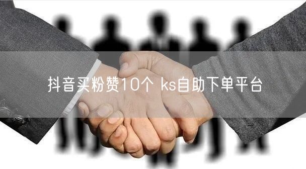 抖音买粉赞10个 ks自助下单平台
