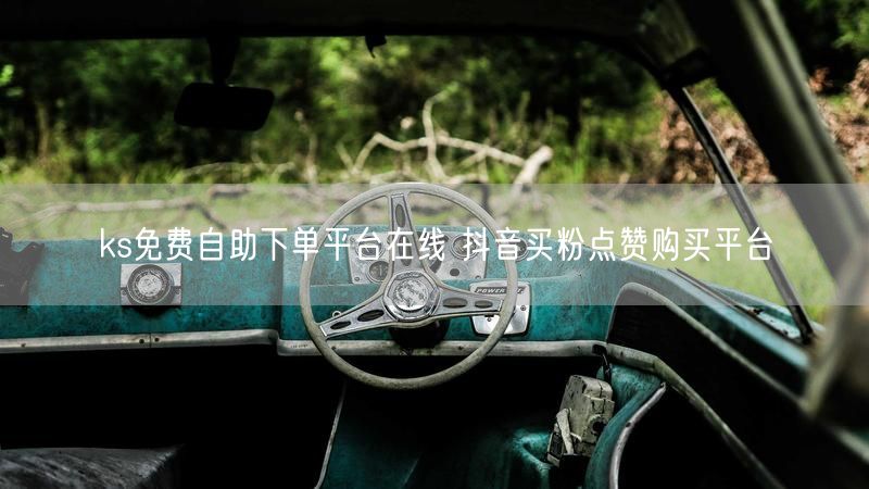 ks免费自助下单平台在线 抖音买粉点赞购买平台