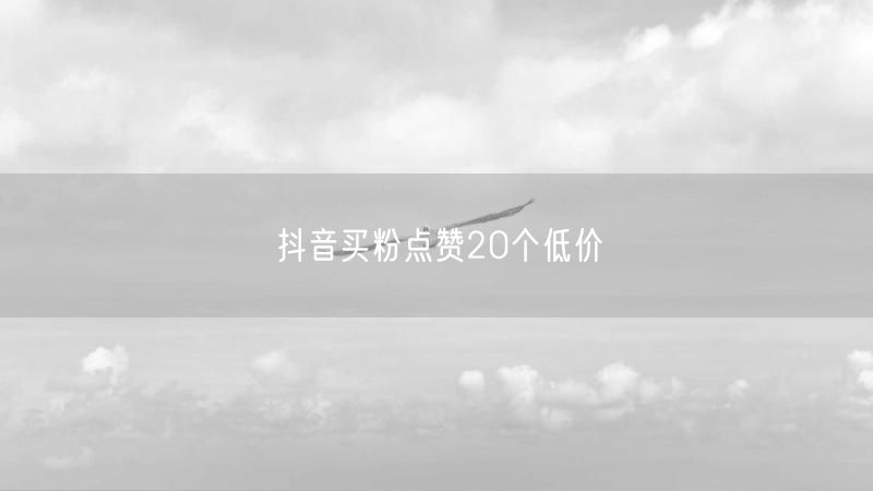 抖音买粉点赞20个低价