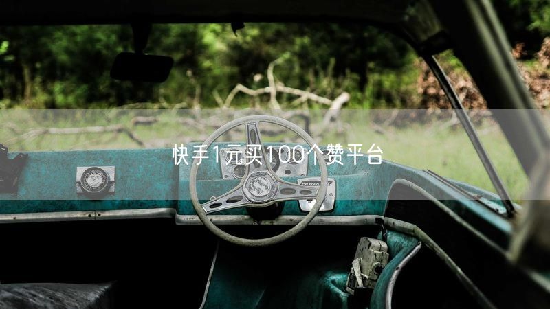 快手1元买100个赞平台
