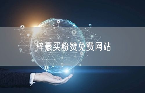梓豪买粉赞免费网站
