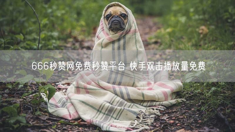 666秒赞网免费秒赞平台 快手双击播放量免费