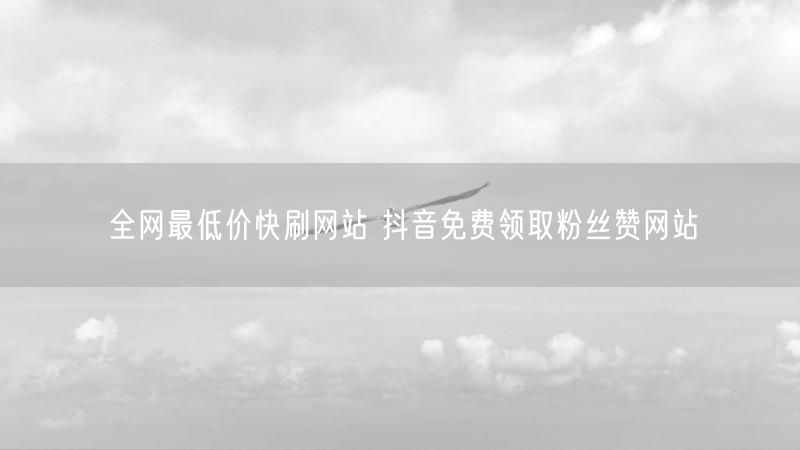 全网最低价快刷网站 抖音免费领取粉丝赞网站