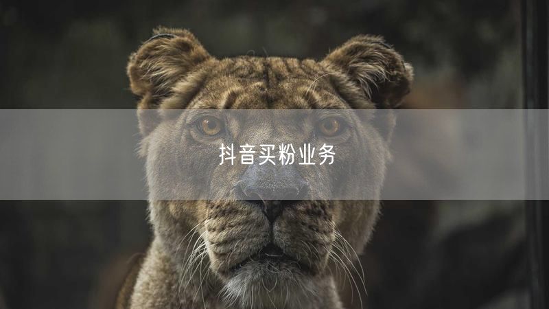 抖音买粉业务
