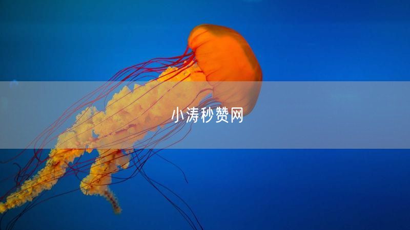 小涛秒赞网