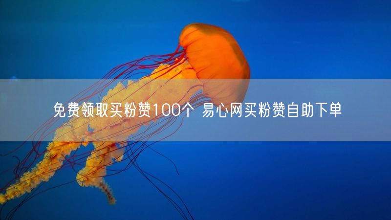 免费领取买粉赞100个 易心网买粉赞自助下单