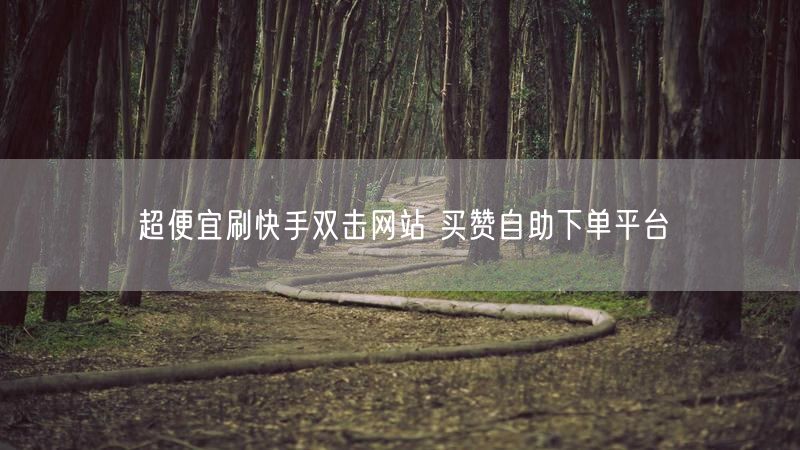 超便宜刷快手双击网站 买赞自助下单平台
