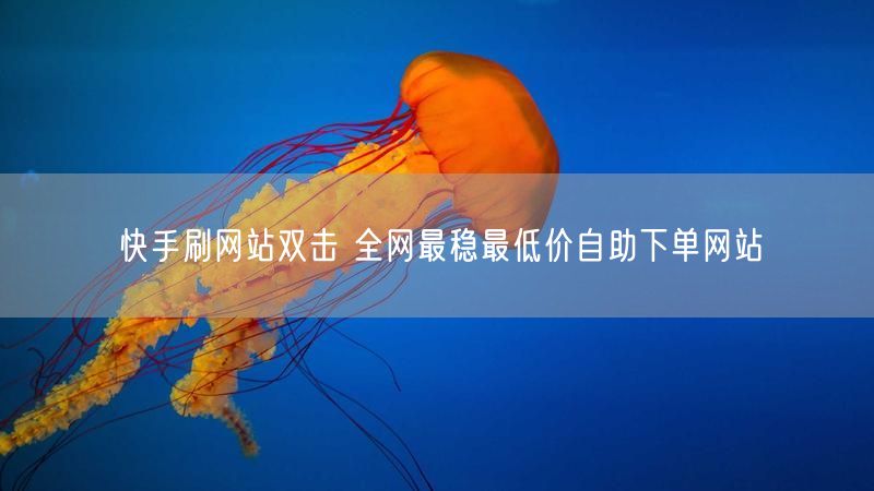 快手刷网站双击 全网最稳最低价自助下单网站