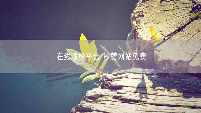 在线涨粉平台 秒赞网站免费