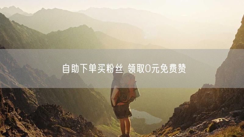 自助下单买粉丝 领取0元免费赞