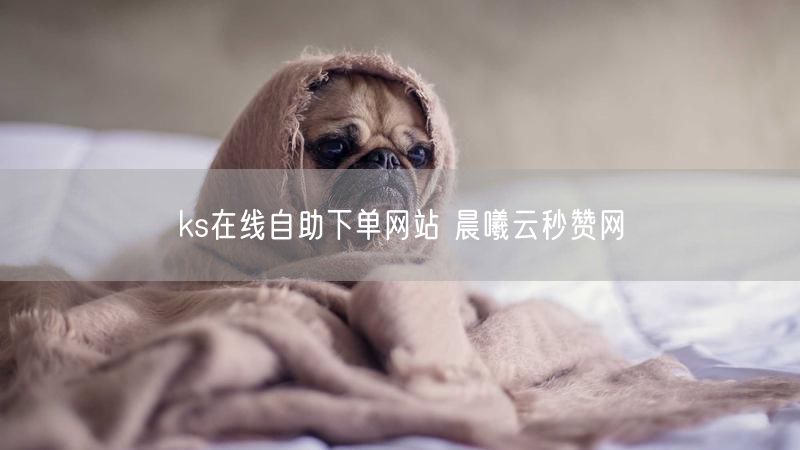 ks在线自助下单网站 晨曦云秒赞网