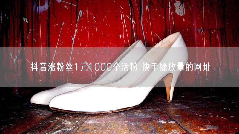 抖音涨粉丝1元1000个活粉 快手播放量的网址