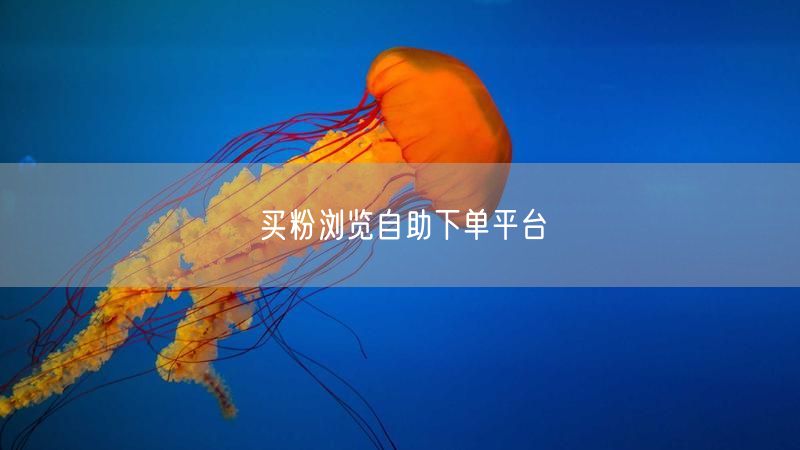 买粉浏览自助下单平台