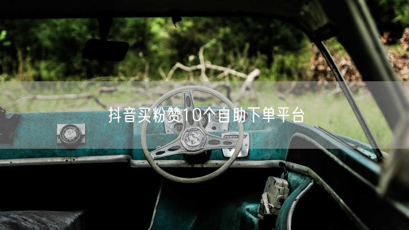 抖音买粉赞10个自助下单平台