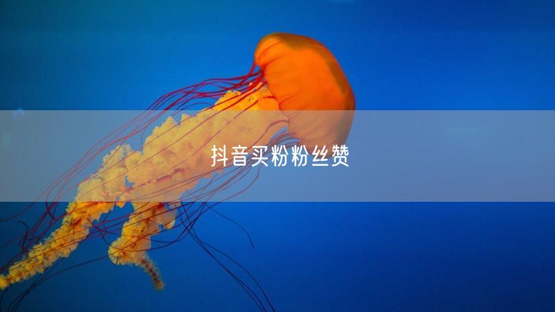 抖音买粉粉丝赞