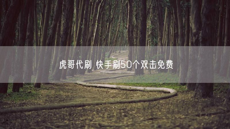 虎哥代刷 快手刷50个双击免费