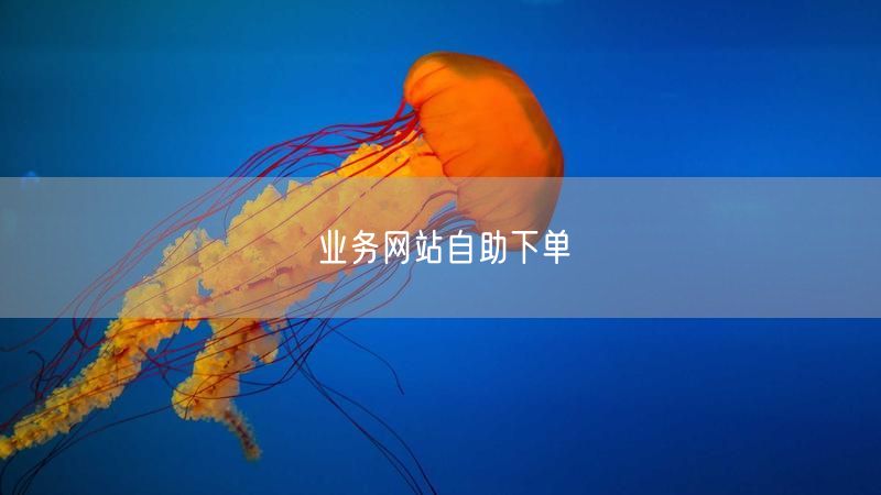 业务网站自助下单