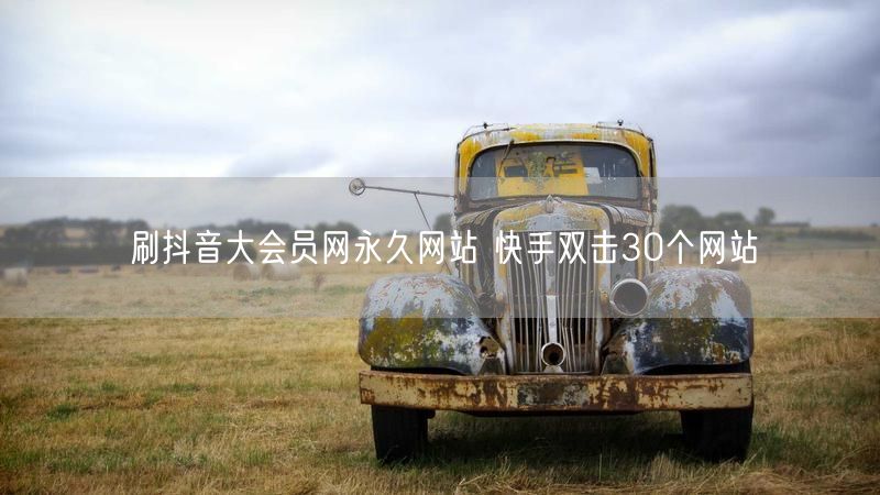刷抖音大会员网永久网站 快手双击30个网站