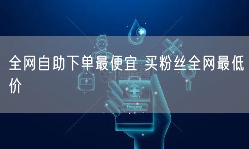 全网自助下单最便宜 买粉丝全网最低价