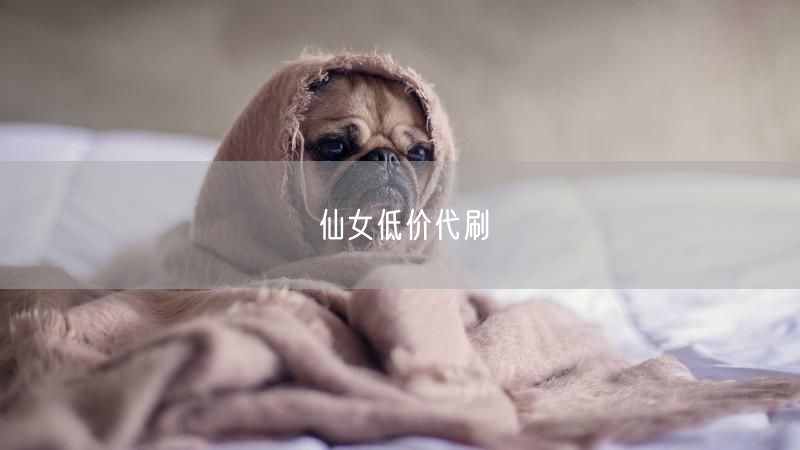 仙女低价代刷