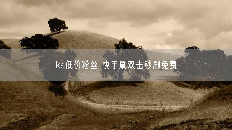 ks低价粉丝 快手刷双击秒刷免费