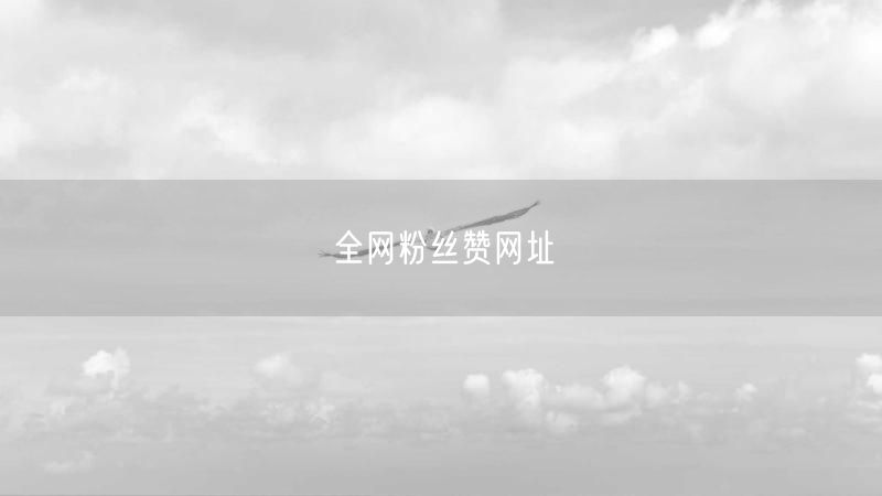 全网粉丝赞网址