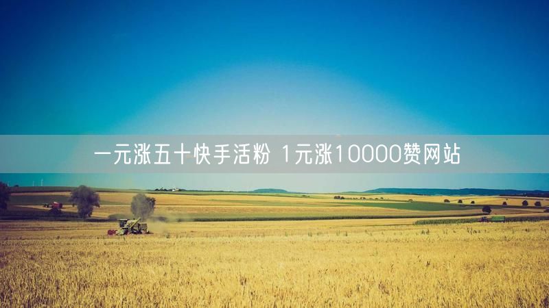 一元涨五十快手活粉 1元涨10000赞网站