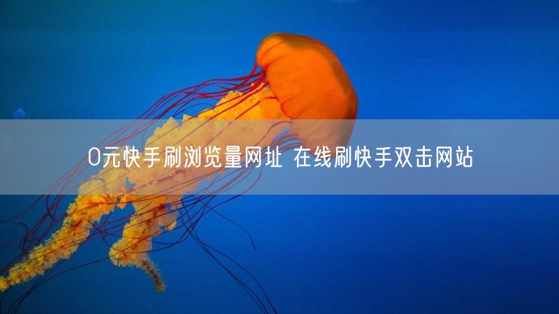 0元快手刷浏览量网址 在线刷快手双击网站