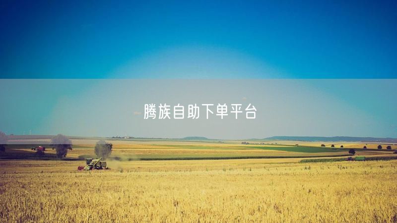 腾族自助下单平台