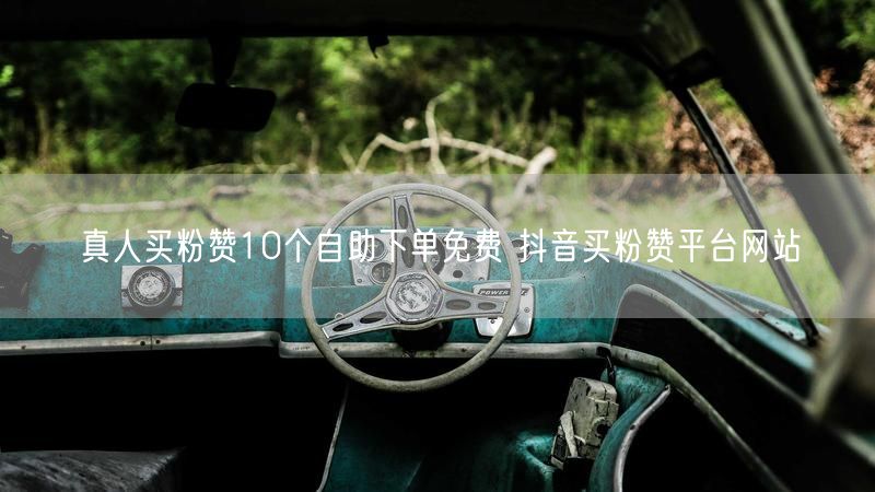 真人买粉赞10个自助下单免费 抖音买粉赞平台网站