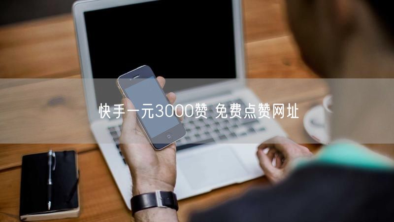 快手一元3000赞 免费点赞网址