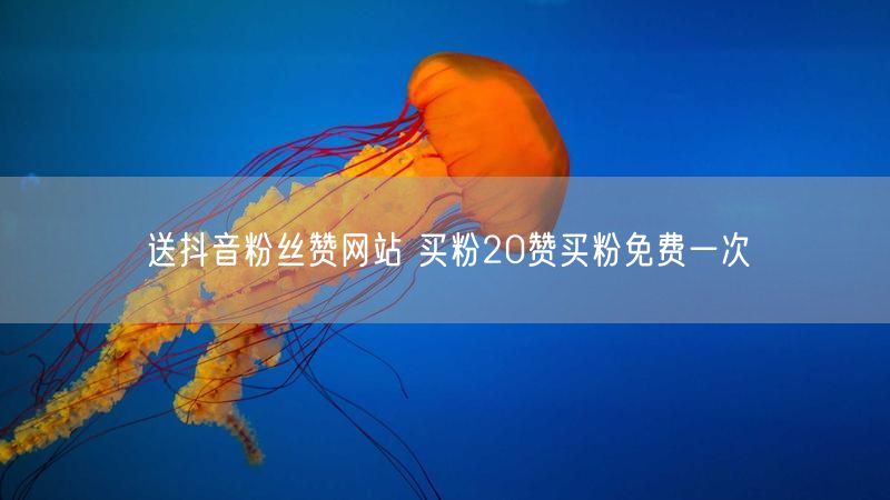 送抖音粉丝赞网站 买粉20赞买粉免费一次