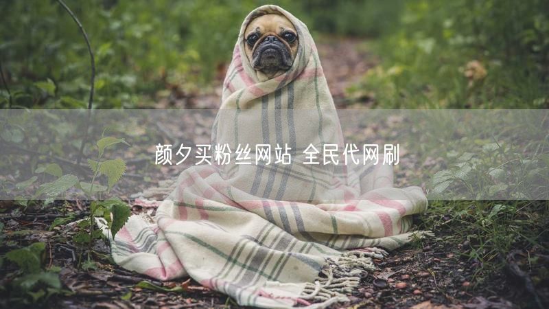 颜夕买粉丝网站 全民代网刷