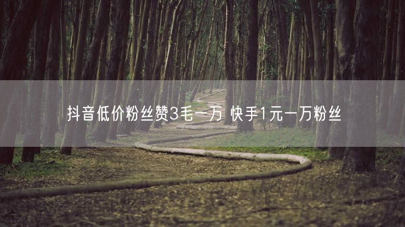 抖音低价粉丝赞3毛一万 快手1元一万粉丝