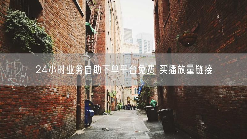 24小时业务自助下单平台免费 买播放量链接