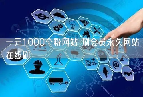 一元1000个粉网站 刷会员永久网站在线刷