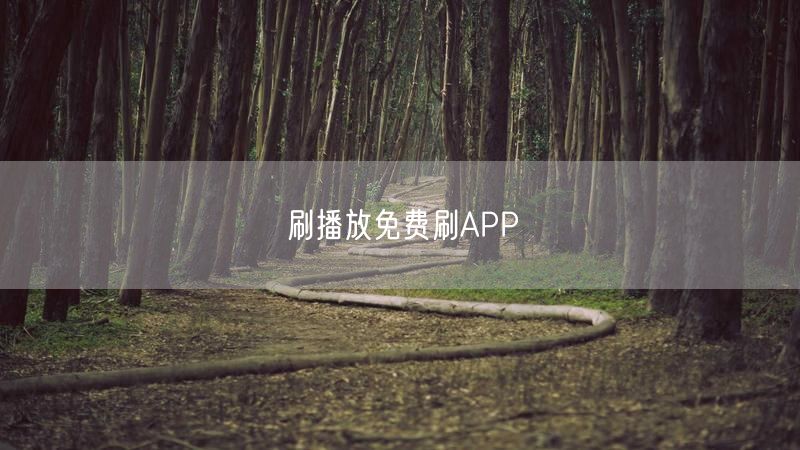 刷播放免费刷APP