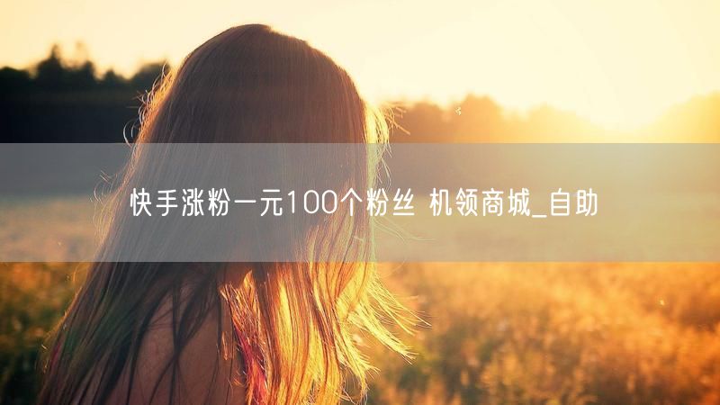 快手涨粉一元100个粉丝 机领商城_自助