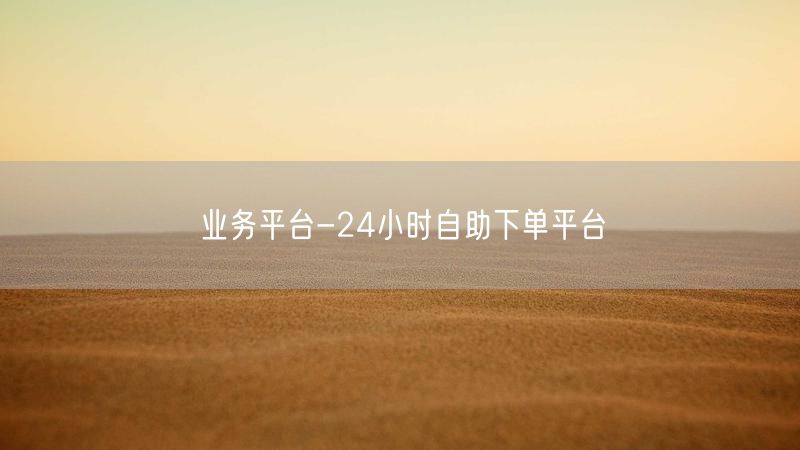 业务平台-24小时自助下单平台