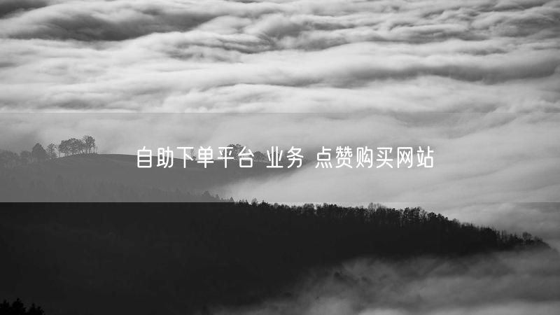自助下单平台 业务 点赞购买网站