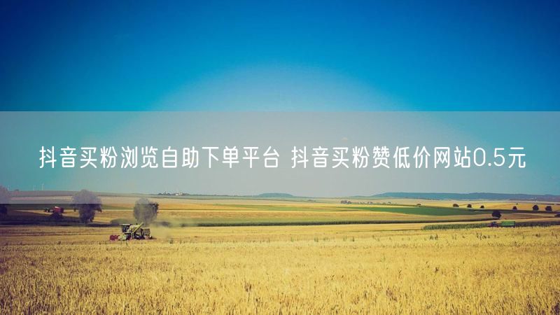 抖音买粉浏览自助下单平台 抖音买粉赞低价网站0.5元