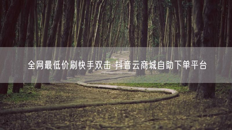 全网最低价刷快手双击 抖音云商城自助下单平台