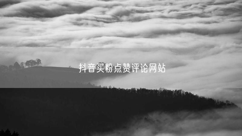 抖音买粉点赞评论网站