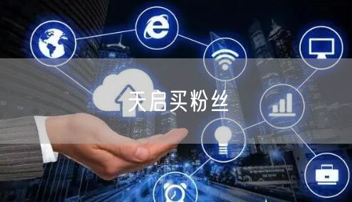 天启买粉丝