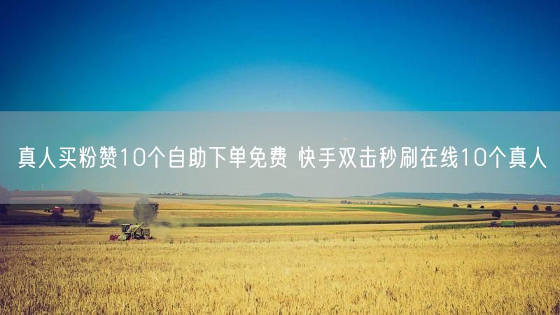 真人买粉赞10个自助下单免费 快手双击秒刷在线10个真人