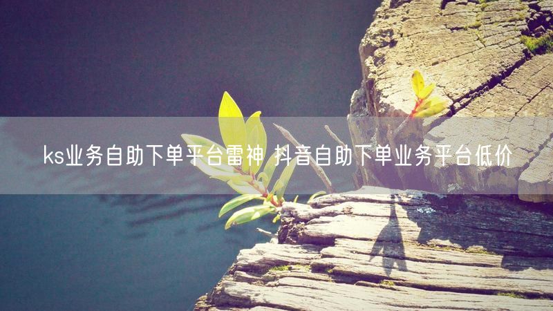 ks业务自助下单平台雷神 抖音自助下单业务平台低价