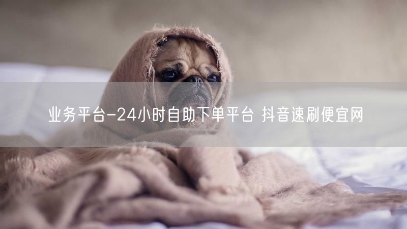业务平台-24小时自助下单平台 抖音速刷便宜网